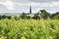 Alexandre LESCURE - ALEXANDRE LESCURE PHOTOGRAPHE