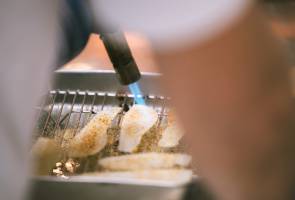 Gaëtan VIDAL - VIDAL GAETAN